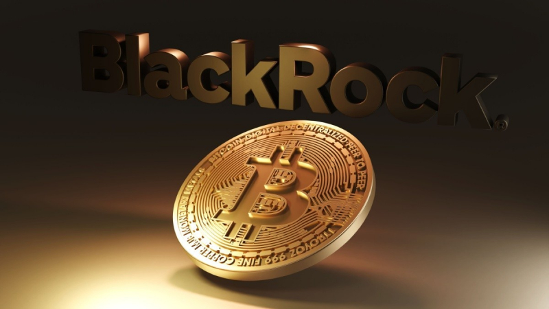 За неделю BlackRock приобрела рекордное количество биткоинов на ,33 млрд