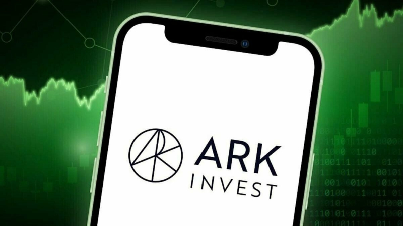 Компания Ark Invest купила акции Block Inc на  млн на фоне их падения